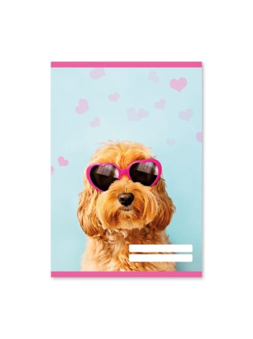 PD School Füzet pd kisalakú 27-32 kockás School United 2023