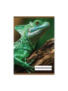 PD School Füzet pd kisalakú 27-32 kockás School United 2023