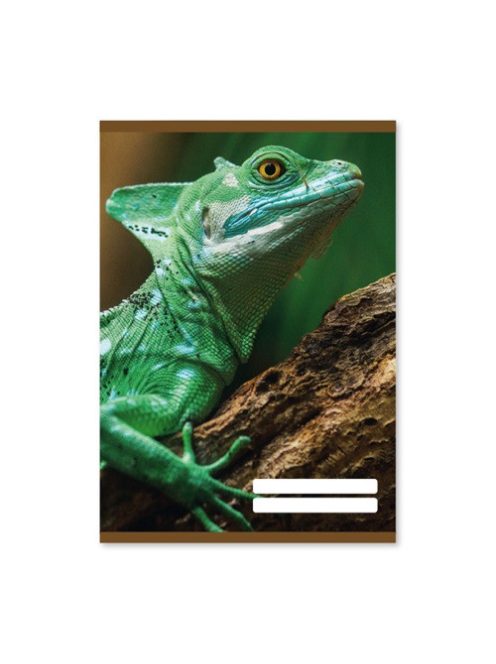 PD School Füzet pd kisalakú 27-32 kockás School United 2023