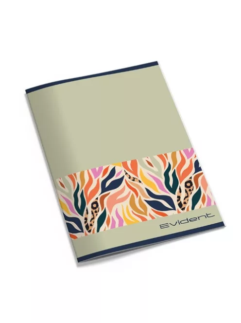 Pd School Füzet pd nagyalakú kockás Evident