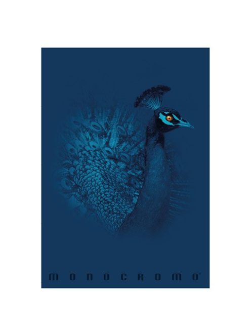 Pigna Füzet Pigna Monocromo Blue A/4 tűzött 38 lapos kockás