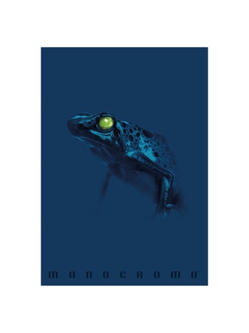 Pigna Füzet Pigna Monocromo Blue A/4 tűzött 38 lapos kockás