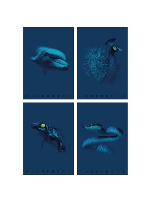 Pigna Füzet Pigna Monocromo Blue A/4 tűzött 38 lapos vonalas