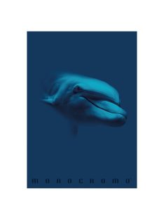   Pigna Füzet Pigna Monocromo Blue A/4 tűzött 38 lapos vonalas