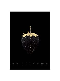   Pigna Füzet Pigna Monocromo Gold A/4 tűzött 38 lapos kockás