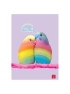 Pigna Füzet Pigna Animal Rainbow A/4 tűzött 38 lapos kockás