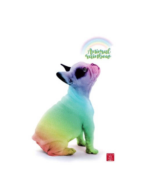 Pigna Füzet Pigna Animal Rainbow A/4 tűzött 38 lapos kockás