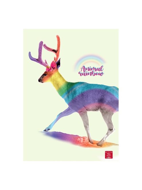 Pigna Füzet Pigna Animal Rainbow A/4 tűzött 38 lapos vonalas, margós