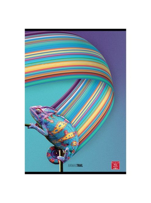 Pigna Füzet Pigna Animal Trail A/4 tűzött 50 lapos kockás