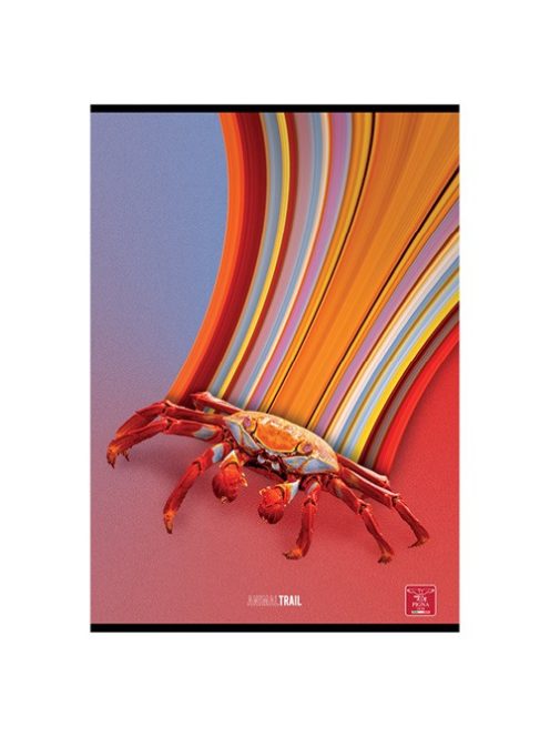 Pigna Füzet Pigna Animal Trail A/4 tűzött 50 lapos vonalas