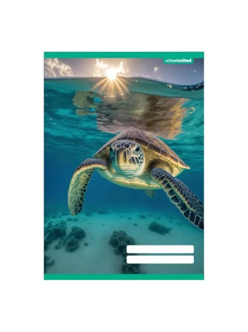 PD School Füzet pd kisalakú 12-32 vonalas School United