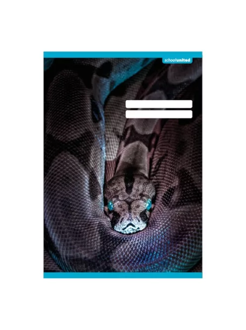 PD School Füzet pd kisalakú 12-32 vonalas School United