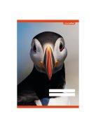 PD School Füzet pd kisalakú 21-32 vonalas School United 2024