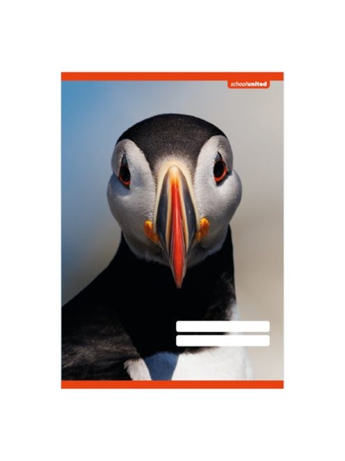 PD School Füzet pd kisalakú 21-32 vonalas School United 2024