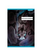 PD School Füzet pd kisalakú 21-32 vonalas School United 2024