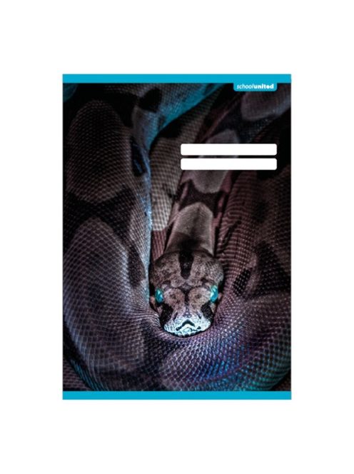 PD School Füzet pd kisalakú 21-32 vonalas School United 2024