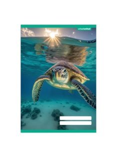 PD School Füzet pd kisalakú 20-32 sima School United 2024