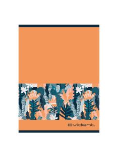 Pd School Füzet pd nagyalakú vonalas Evident 2024