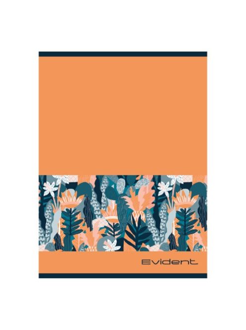 Pd School Füzet pd nagyalakú vonalas Evident 2024