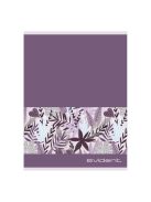 Pd School Füzet pd nagyalakú vonalas Evident 2024