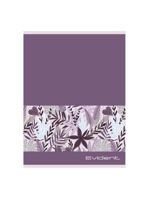 Pd School Füzet pd nagyalakú vonalas Evident 2024