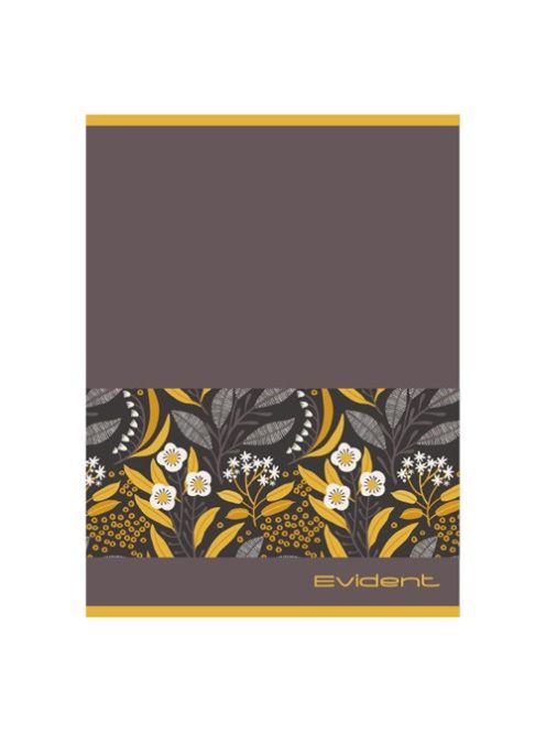 Pd School Füzet pd nagyalakú vonalas Evident 2024