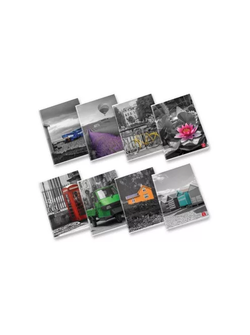 Pigna Füzet Pigna A Touch of color A/4 tűzött 42 lapos vonalas margós