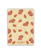 Forever Young Füzet Forever Young A/5 kockás tűzött Capybara