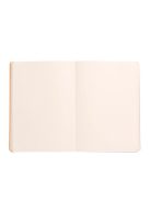 Rhodia Napló Clairefontaine Rhodiarama A/5 80 lapos ponthálós puha fedeles, gumis, ezüst