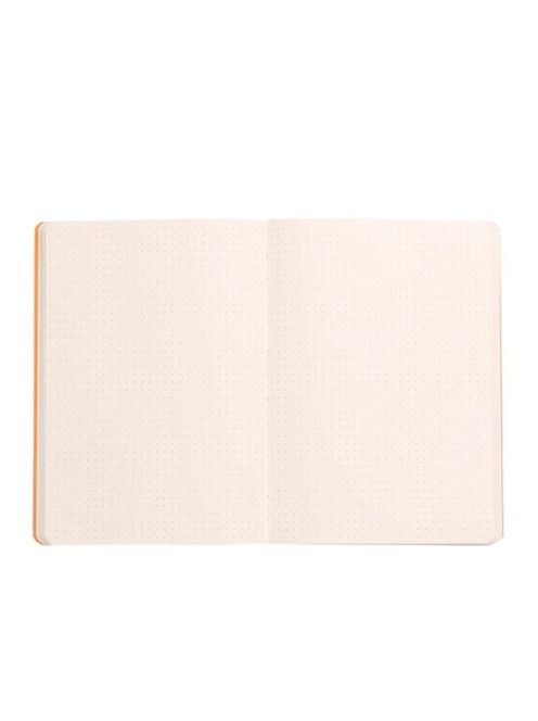 Rhodia Napló Clairefontaine Rhodiarama A/5 80 lapos ponthálós puha fedeles, gumis, ezüst