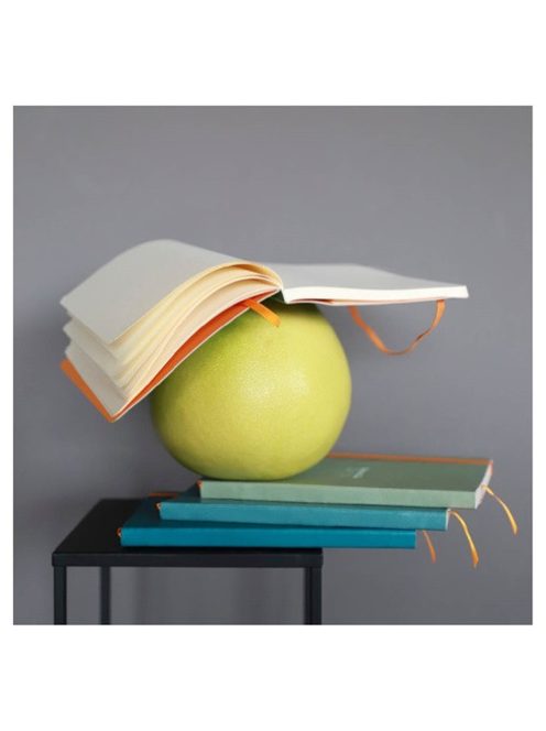 Rhodia Napló Clairefontaine Rhodiarama A/5 80 lapos ponthálós puha fedeles, gumis, pávakék