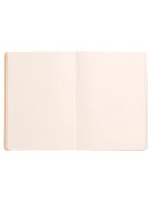 Rhodia Napló Clairefontaine Rhodiarama A/5 80 lapos ponthálós puha fedeles, gumis, szeladonzöld