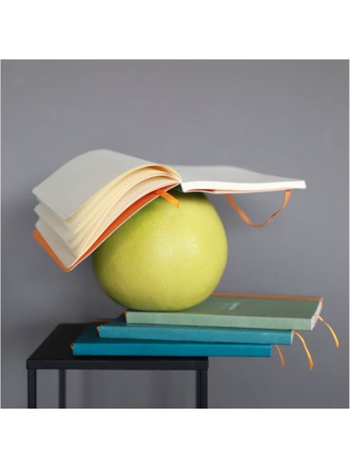 Rhodia Napló Clairefontaine Rhodiarama A/5 80 lapos ponthálós puha fedeles, gumis, szeladonzöld