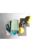 Rhodia Napló Clairefontaine Rhodiarama A/5 80 lapos ponthálós puha fedeles, gumis, vízkék