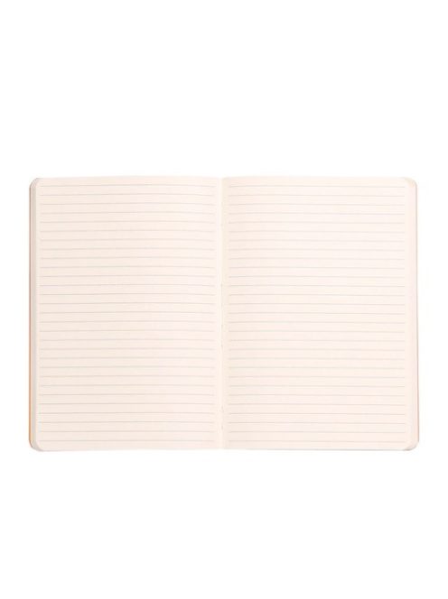 Rhodia Napló Clairefontaine Rhodiarama A/5 80 lapos vonalas puha fedeles, gumis, ezüst