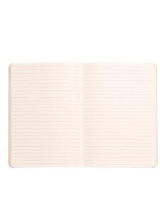   Rhodia Napló Clairefontaine Rhodiarama A/5 80 lapos vonalas puha fedeles, gumis, írisz