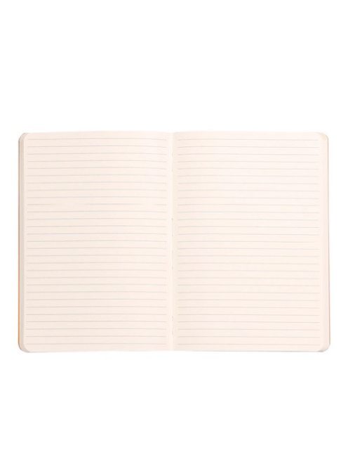 Rhodia Napló Clairefontaine Rhodiarama A/5 80 lapos vonalas puha fedeles, gumis, írisz