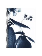 Clairefontaine Spirálfüzet Clairefontaine Inkebana A/4, 74 lapos, vonalas,margós, vegyes