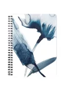 Clairefontaine Spirálfüzet Clairefontaine Inkebana A/5, 60 lapos, vonalas, vegyes