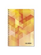 Pd School Spirálfüzet pd Colorido A/4 200 lapos sima