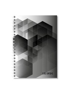   Pd School Spirálfüzet pd Colorido A/4-200 lapos többtantárgyas