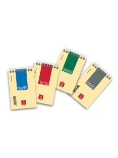   Pigna Jegyzettömb spirálos Pignastyl 8x12 cm kockás 60 lapos