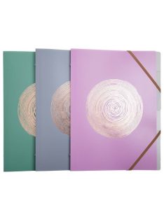   Exacompta Előrendező Exacompta Ellipse A/4 8 részes gumis vegyes minták