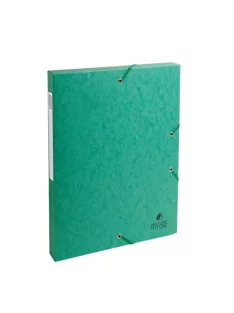   Exacompta Füzetbox karton Exacompta A/4 25 mm gerinccel prespán zöld