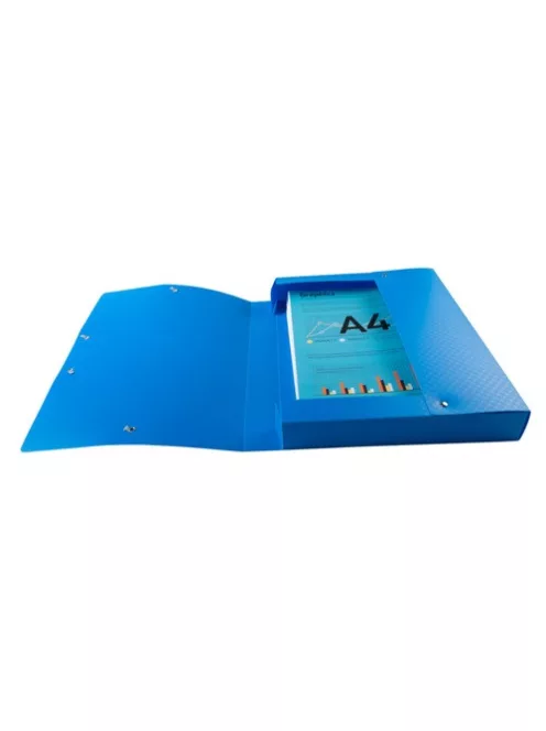 Exacompta Füzetbox PP Exacompta Forever Young A/4 40 mm gerinccel vegyes színek