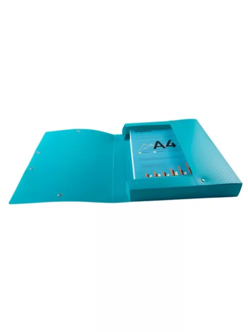 Exacompta Füzetbox PP Exacompta Forever Young A/4 40 mm gerinccel vegyes színek