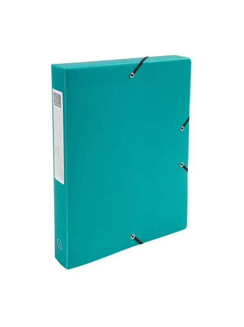 Exacompta Füzetbox PP Exacompta Exabox-Opaque A/4 40 mm gerinccel gumis zöld