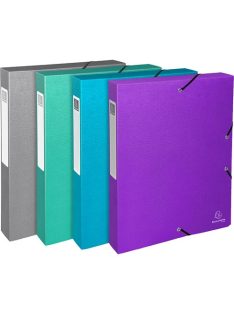   Exacompta Füzetbox Exacompta karton Teksto A/4 40 mm gerinccel vegyes színek