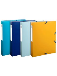  Exacompta Füzetbox Exacompta Bee Blue A/4 40 mm gerinccel PP vegyes színek