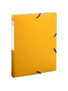 Exacompta Füzetbox Exacompta Bee Blue A/4 40 mm gerinccel PP vegyes színek